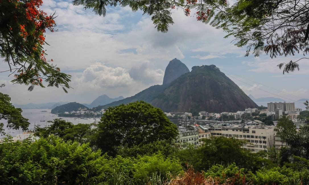 Botafogo Cove at night Botafogo Mirante do Pasmado